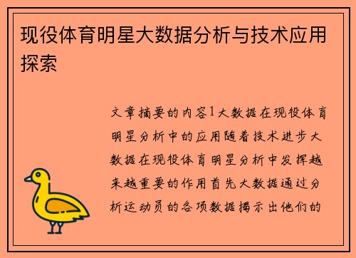 现役体育明星大数据分析与技术应用探索